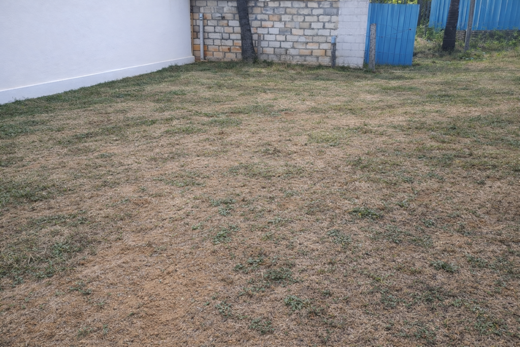 Site for Sale in Lakshmipura